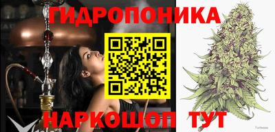 PSILOCYBIN Нарткала
